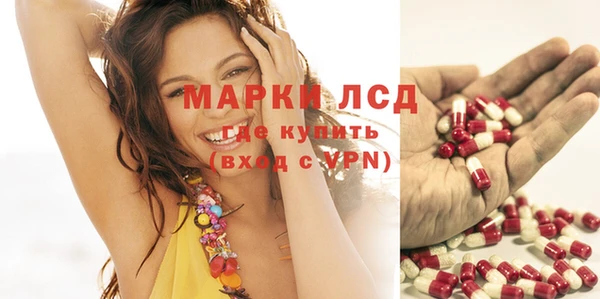 прущие грибы Куйбышев