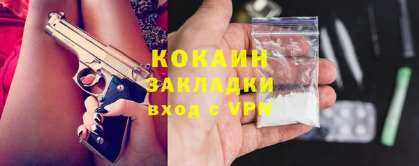 соль ск Кулебаки