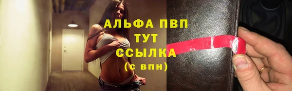 прущие грибы Куйбышев