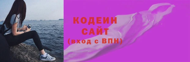 соль ск Кулебаки