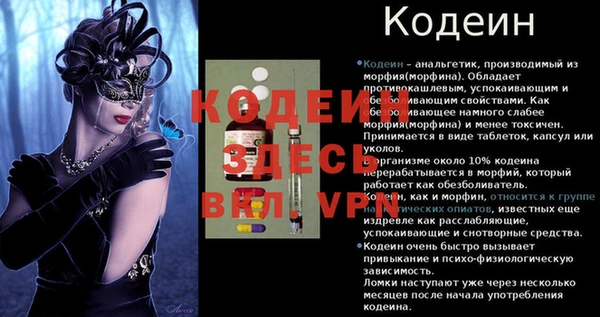 соль ск Кулебаки