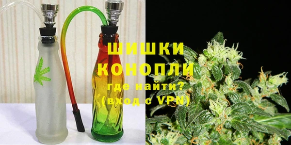 прущие грибы Куйбышев