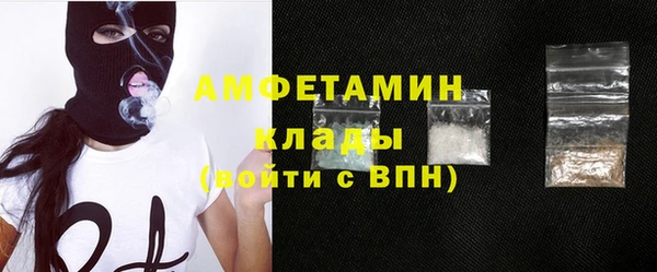 прущие грибы Куйбышев
