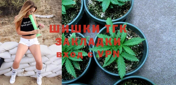 прущие грибы Куйбышев