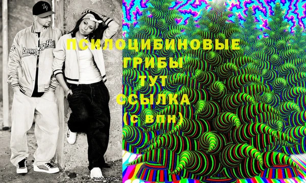 соль ск Кулебаки